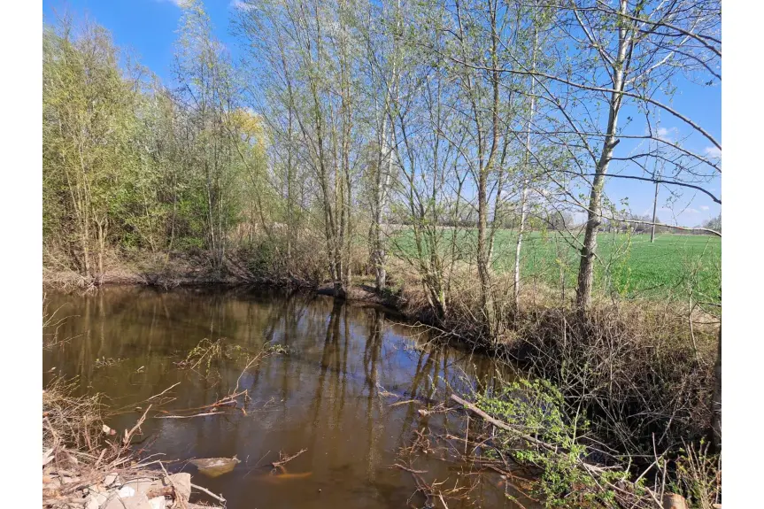 włocławski, Boniewo, Arciszewo, Działka - siedlisko w Arciszewie 2,05 ha gm. Boniewo