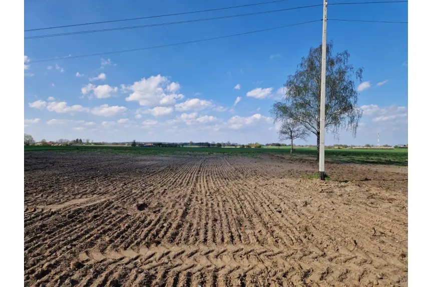 włocławski, Boniewo, Arciszewo, Działka - siedlisko w Arciszewie 2,05 ha gm. Boniewo