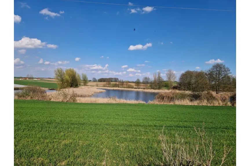 włocławski, Boniewo, Łąki Markowe, Staw - działka rolna 5,24 ha z pięknym stawem
