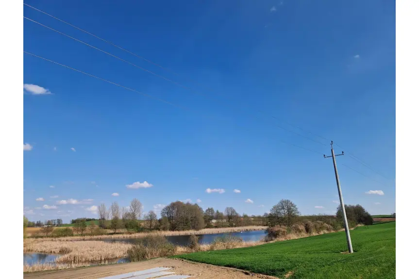 włocławski, Boniewo, Łąki Markowe, Staw - działka rolna 5,24 ha z pięknym stawem