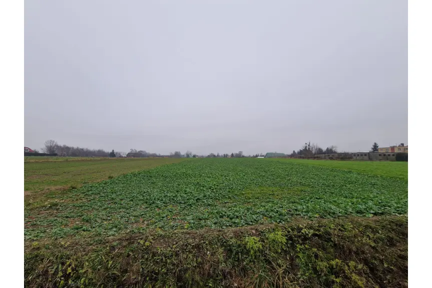 koniński, Ślesin, Cegielniana, Ślesin- działka budowlana 2129 m2 - sprzedam!