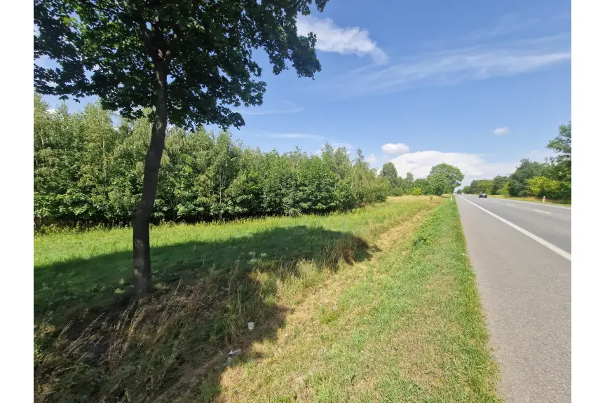 kolski, Grzegorzew, Borysławice Zamkowe, Działka inwestycyjna 1,11ha - Borysławice Zamk. sprzedam lub zamienię