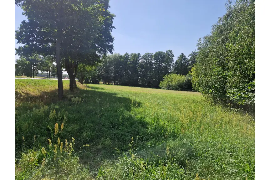 kolski, Grzegorzew, Borysławice Zamkowe, Działka inwestycyjna 1,11ha - Borysławice Zamk. sprzedam lub zamienię