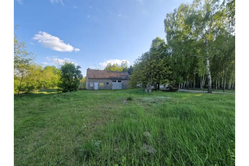 koniński, Golina, Brzeźniak, Działka - siedlisko z budynkiem gospodarczym 2,87 ha
